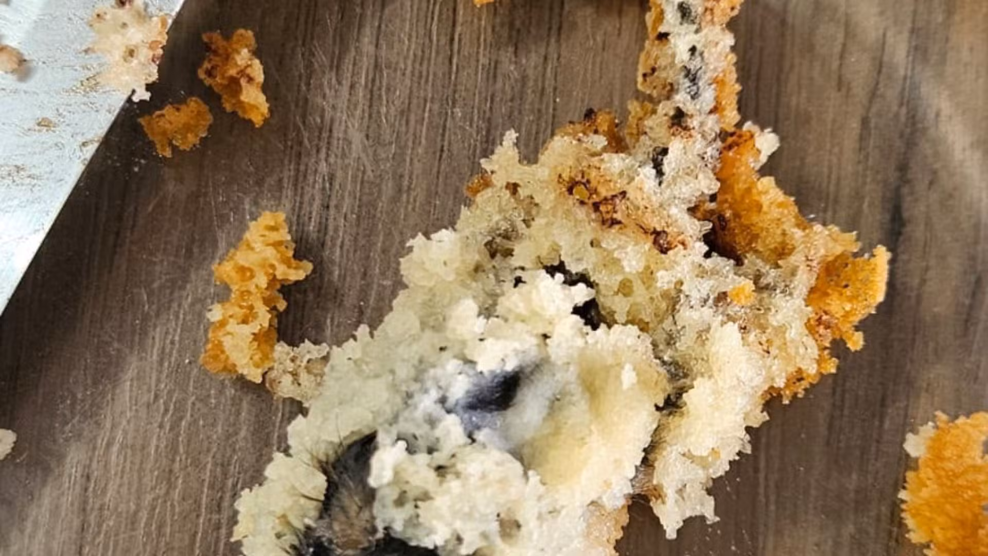  Rato morto em bolo: proprietária de confeitaria é solta ap…