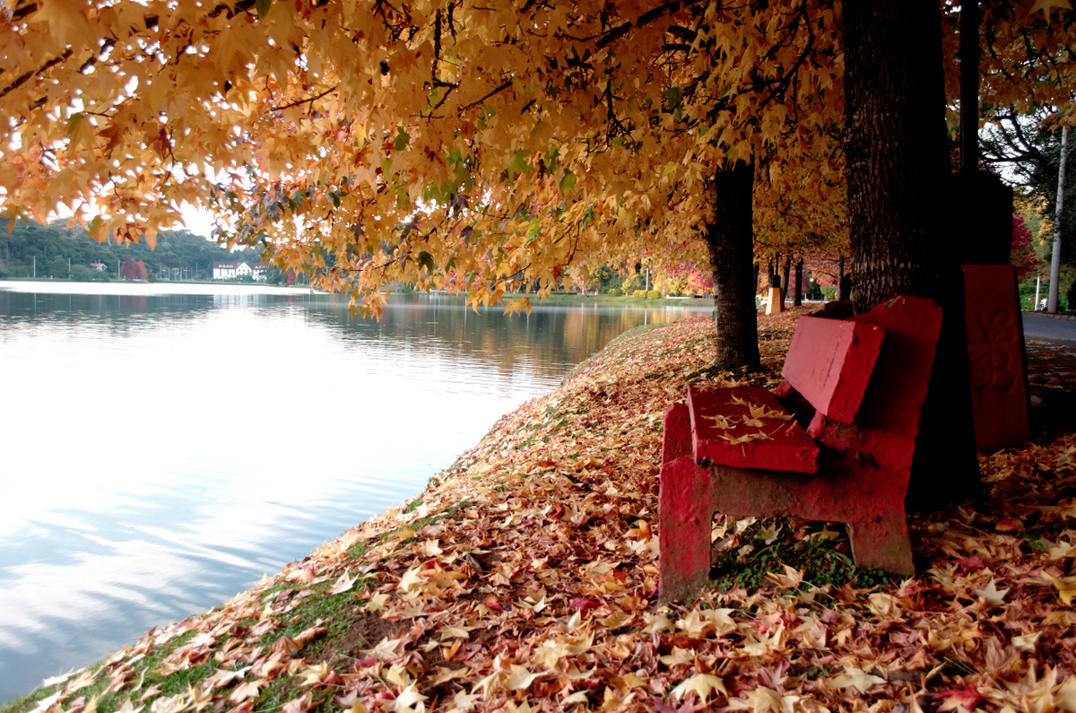 Carlos_Alberto_Etcheverry_5